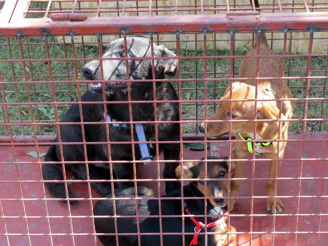 Megyei Közfoglalkoztatási Kiállítás 071